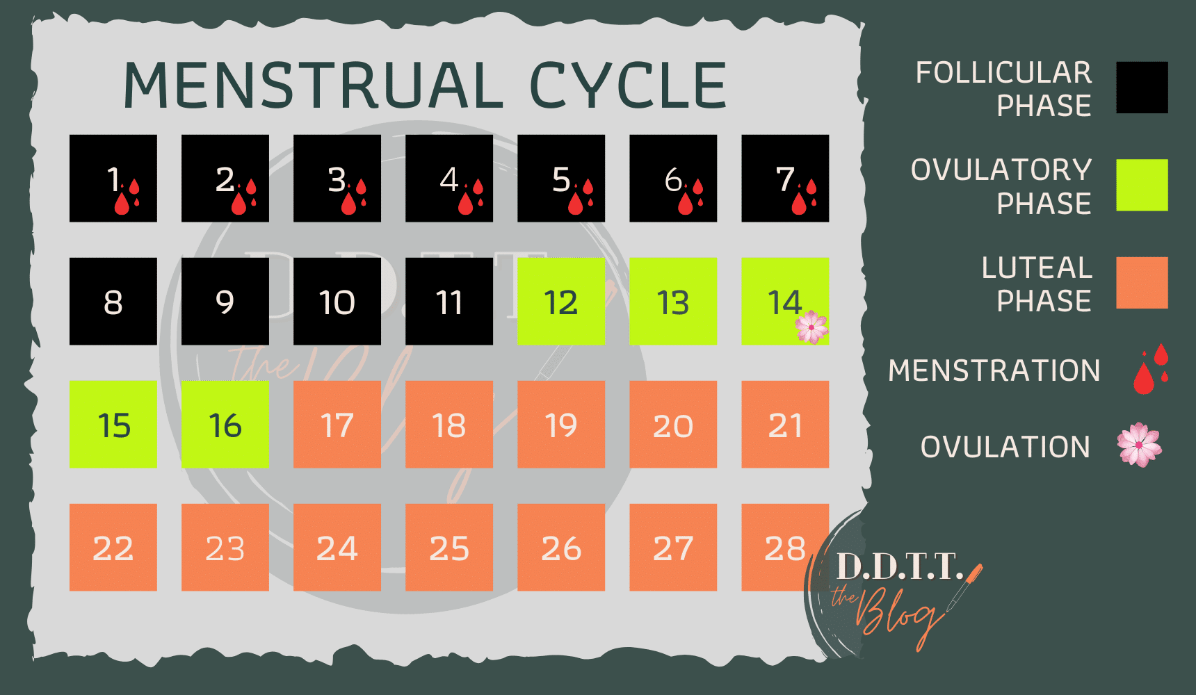 Guide to Managing the 28Day Cycle Do's, Don'ts, Tips and Tricks